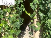 Case e ville in vendita di 220 m² in Via Aurelia Antica