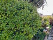 Case e ville in vendita di 220 m² in Via Giambattista...