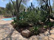 Case e ville in vendita di 236 m² in Strada Statale 125...