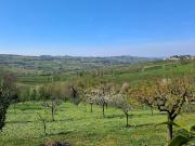 Case e ville in vendita di 238 m²