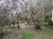 Case e ville in vendita di 240 m²