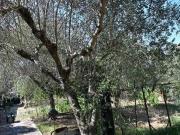 Case e ville in vendita di 240 m²