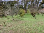 Case e ville in vendita di 240 m² in Strada Provinciale 117