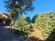 Case e ville in vendita di 250 m² in Via del Casale di...