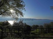 Case e ville in vendita di 251 m² in Via Angelo...