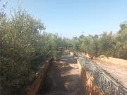 Case e ville in vendita di 255 m²