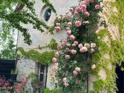 Case e ville in vendita di 260 m²