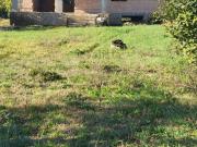 Case e ville in vendita di 260 m² in Via Caio Mario