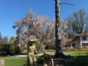 Case e ville in vendita di 262 m² in Strada Stupinigi, 96