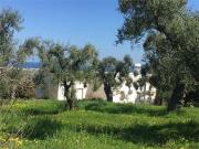 Case e ville in vendita di 266 m²