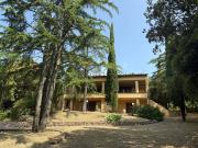 Case e ville in vendita di 270 m² in Via dei Lecci