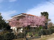 Case e ville in vendita di 280 m² in Via vittorio veneto, 27