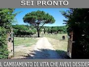 Case e ville in vendita di 286 m² in Località la Calandrina