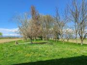 Case e ville in vendita di 292 m²