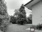 Case e ville in vendita di 300 m²