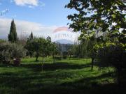 Case e ville in vendita di 300 m² in Località Nardelli, 70