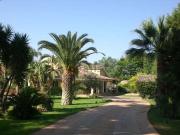 Case e ville in vendita di 300 m² in Strada Tremmilia