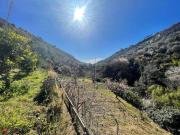 Case e ville in vendita di 300 m² in Strada Verezzo