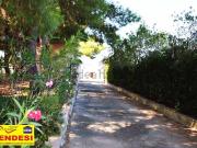 Case e ville in vendita di 300 m² in Via delle Mimose, 91