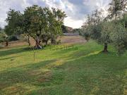 Case e ville in vendita di 300 m² in Via Romana Ovest