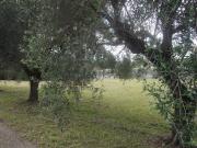 Case e ville in vendita di 300 m² in Via Rufelli
