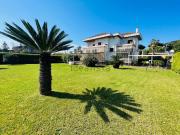 Case e ville in vendita di 312 m² in Viale dei Pitosferi, 1
