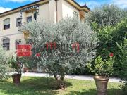 Case e ville in vendita di 313 m²