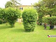 Case e ville in vendita di 316 m² in Via della Viaccia