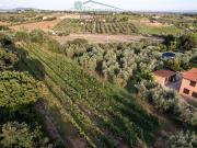 Case e ville in vendita di 320 m² in Strada dell&apos...