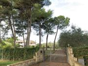 Case e ville in vendita di 320 m² in Via del Casale di...