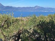 Case e ville in vendita di 320 m² in Via per Albisano