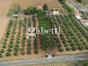 Case e ville in vendita di 320 m² in Via Tullio Giordana