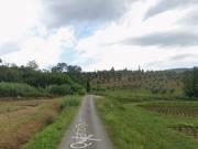 Case e ville in vendita di 32 m² in Via Provinciale Lucchese