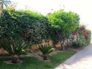 Case e ville in vendita di 335 m² in Via alfredo giovine