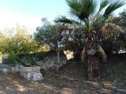 Case e ville in vendita di 340 m²