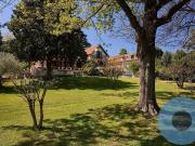 Case e ville in vendita di 340 m² in Via della Selvotta