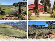 Case e ville in vendita di 350 m² in Via Campagnanese, 13