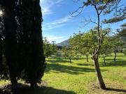 Case e ville in vendita di 350 m² in Via di Rosano