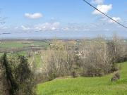 Case e ville in vendita di 350 m² in Viale Giacomo...