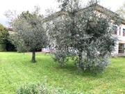 Case e ville in vendita di 360 m² in Via Meini, 413