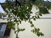 Case e ville in vendita di 370 m² in Via Luigi Antonini...