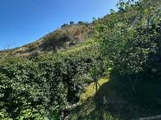 Case e ville in vendita di 384 m² in Contrada le Calate