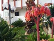 Case e ville in vendita di 390 m² in Strada della Vela, 105