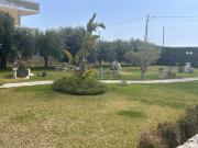 Case e ville in vendita di 390 m² in Via Sandro Pertini