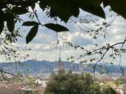 Case e ville in vendita di 400 m² in Via Bezzecca, 1