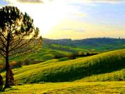 Case e ville in vendita di 400 m² in Via Romita