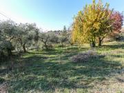 Case e ville in vendita di 400 m² in Via San Rocchetto...