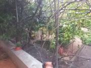 Case e ville in vendita di 401 m² in Via delle Cascine