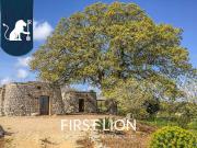 Case e ville in vendita di 400 m² in Strada Provinciale 335