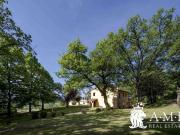 Case e ville in vendita di 490 m² in Strada Provinciale 8